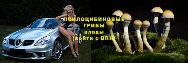 PSILOCYBIN Армянск