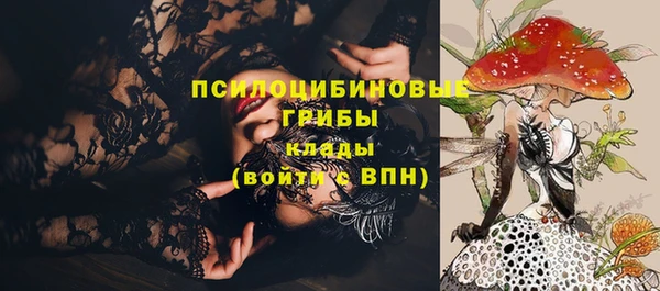 PSILOCYBIN Армянск