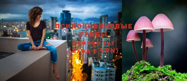 PSILOCYBIN Армянск